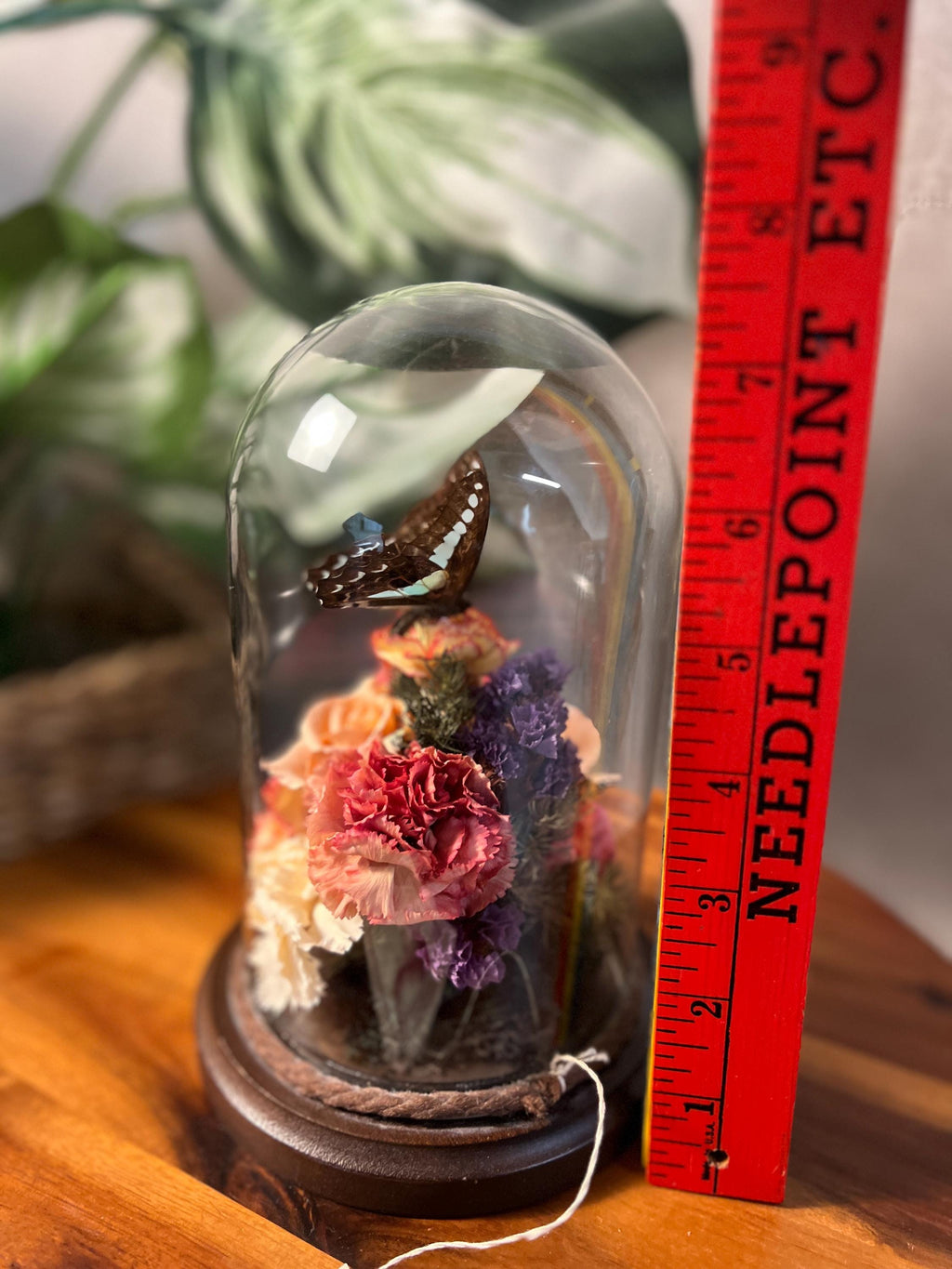 Small Vtg 1970's Taxidermy Butterfly Dried Flowers Glass Dome Cloche Wood Base
