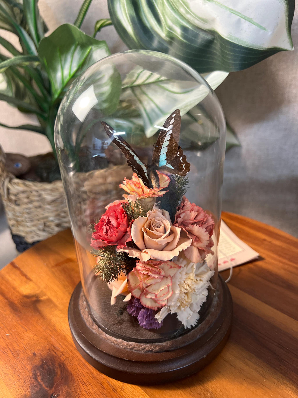 Small Vtg 1970's Taxidermy Butterfly Dried Flowers Glass Dome Cloche Wood Base