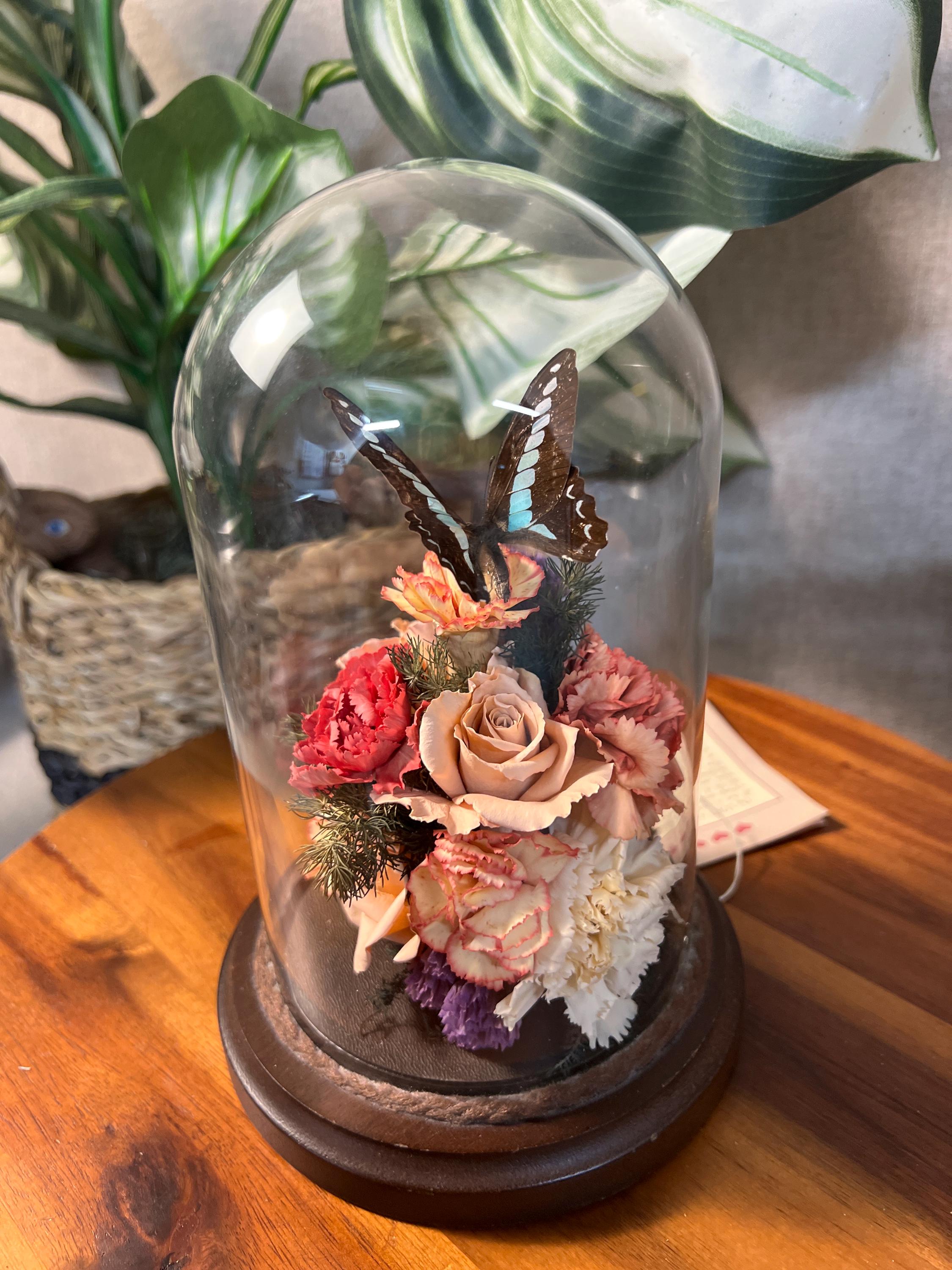 Small Vtg 1970's Taxidermy Butterfly Dried Flowers Glass Dome Cloche Wood Base