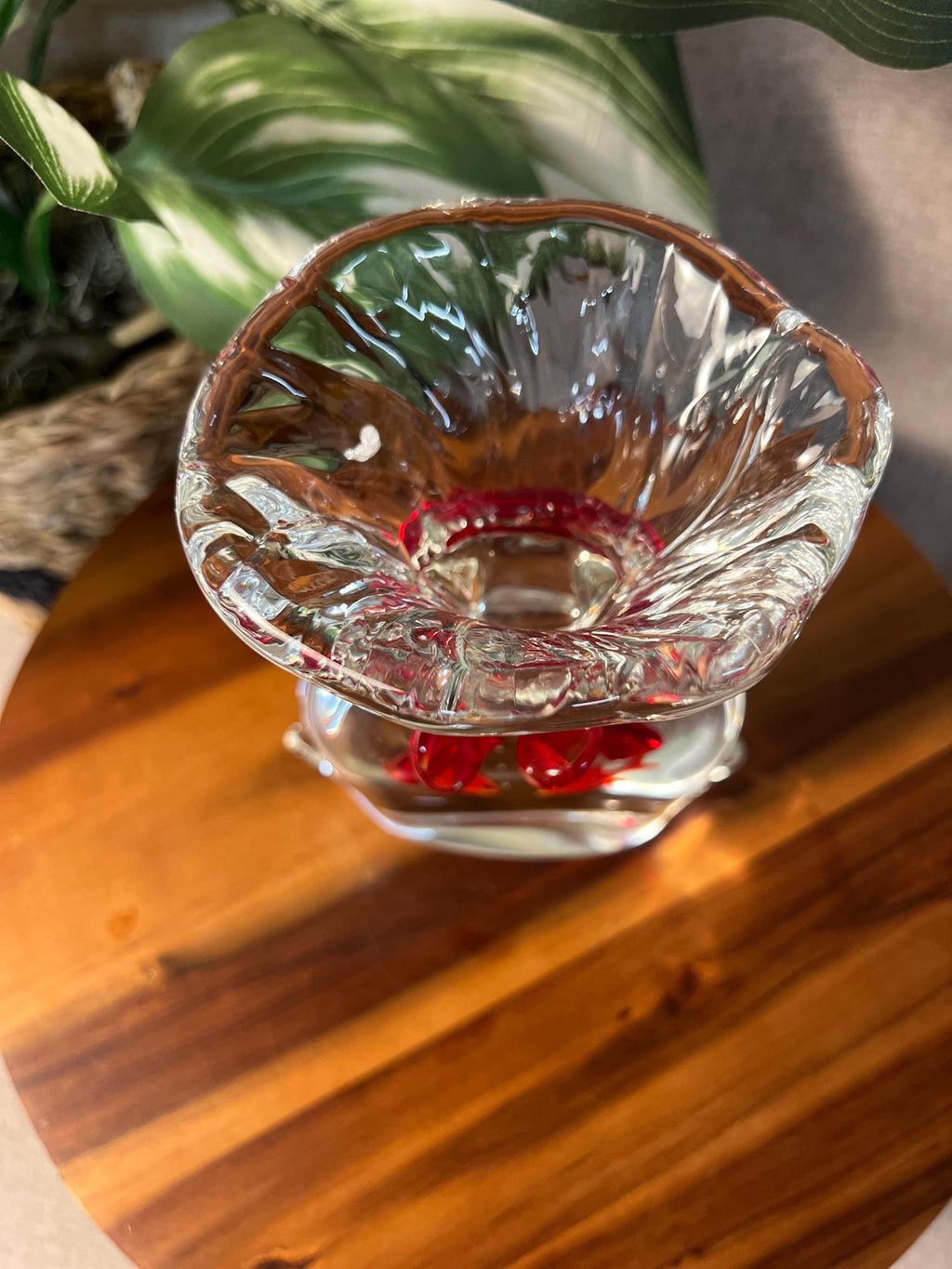 Murano 7" GoldFish Aquarium Bag Art Glass Paperweight w/Red Ribbon