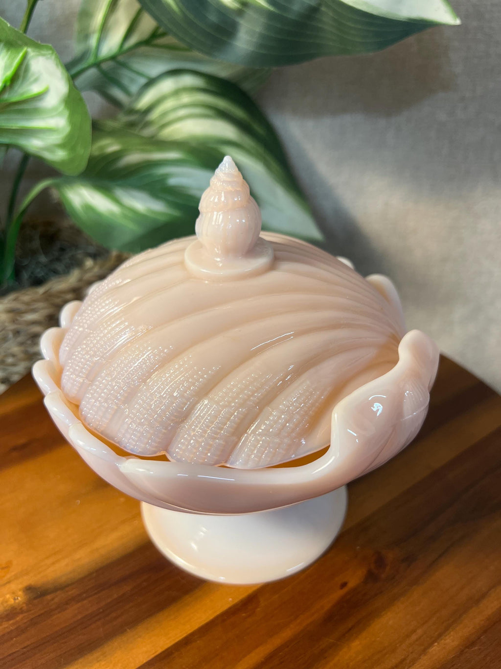 Vintage Pink CAMBRIDGE GLASS Seashell Crown Tuscan, Covered Candy Box