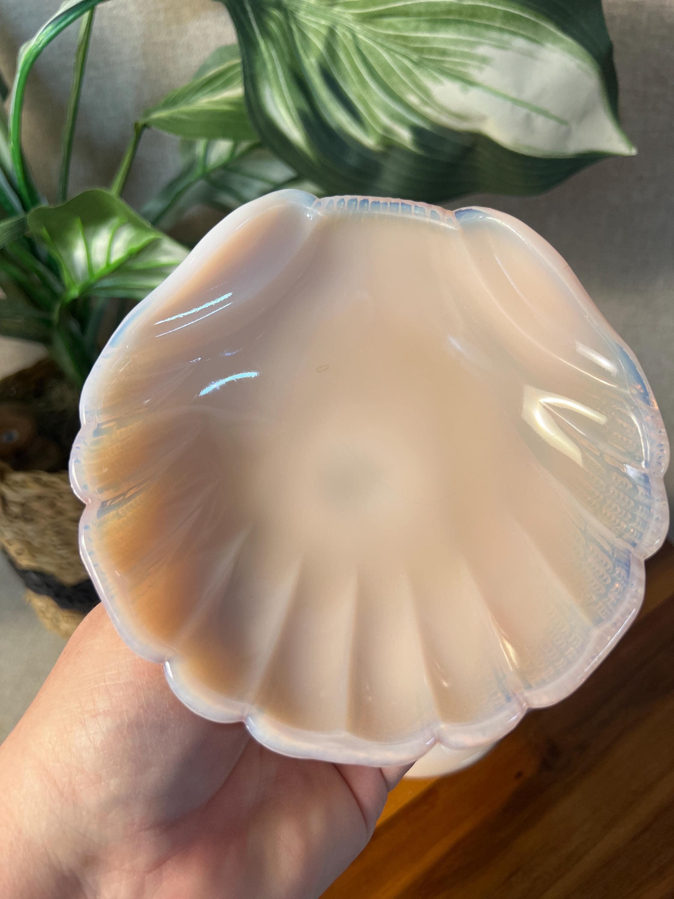 Vintage Pink CAMBRIDGE GLASS Seashell Crown Tuscan, Covered Candy Box
