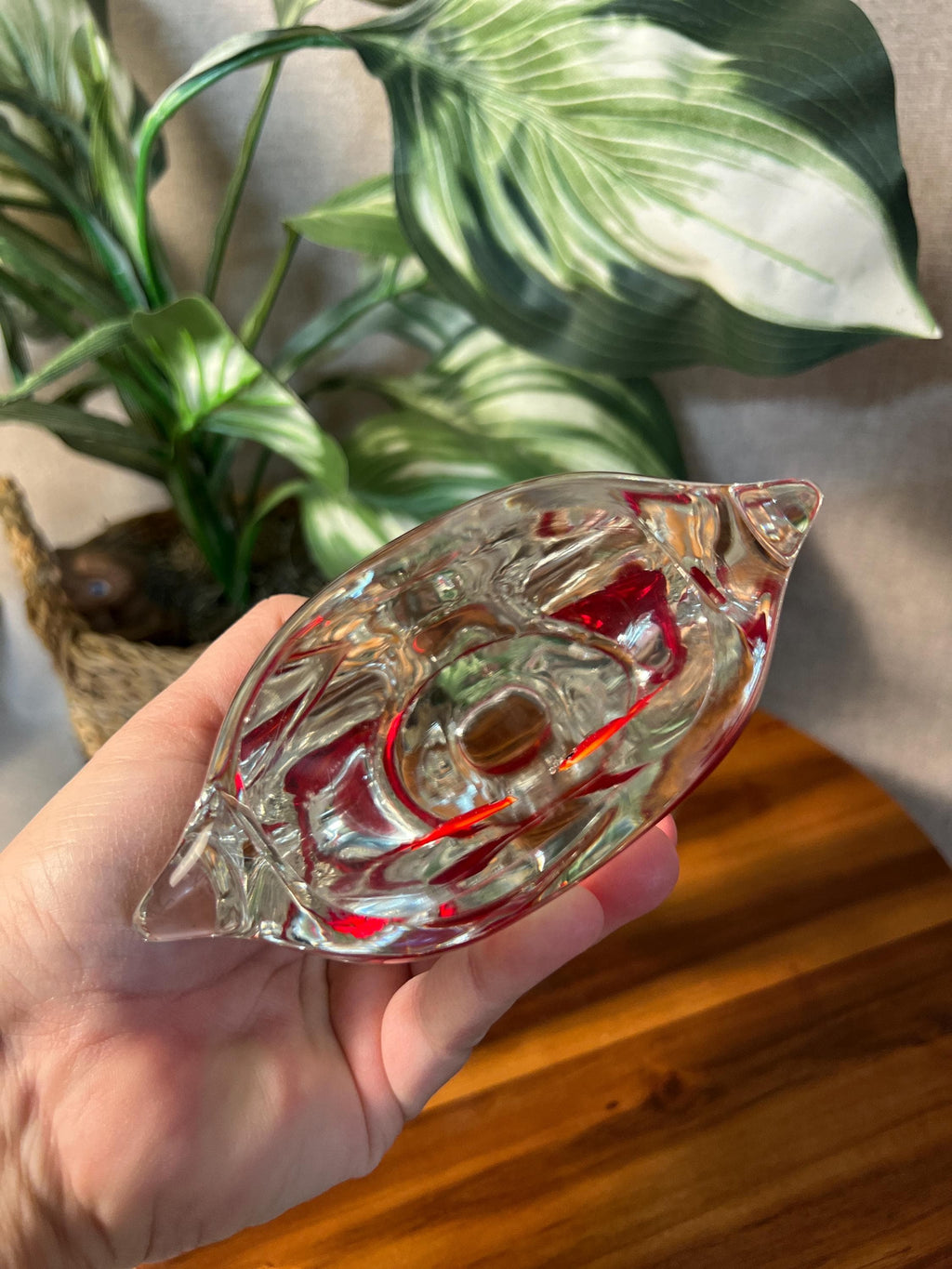Murano 7" GoldFish Aquarium Bag Art Glass Paperweight w/Red Ribbon