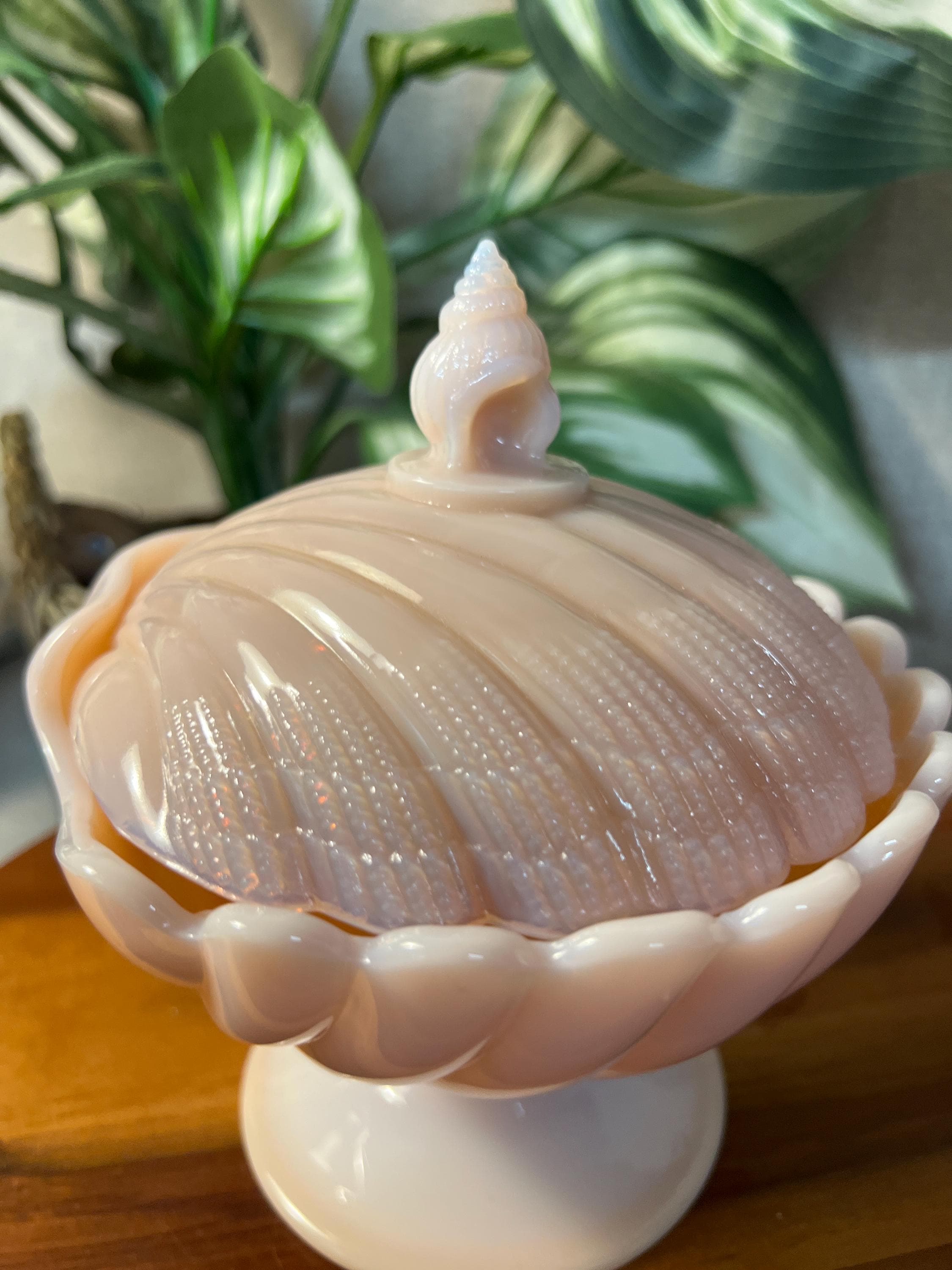Vintage Pink CAMBRIDGE GLASS Seashell Crown Tuscan, Covered Candy Box