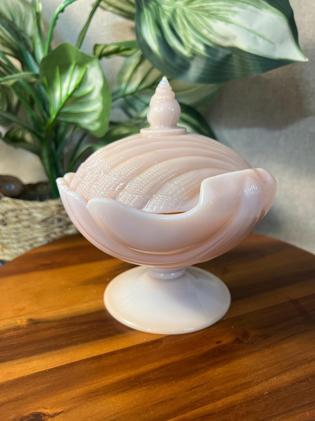 Vintage Pink CAMBRIDGE GLASS Seashell Crown Tuscan, Covered Candy Box