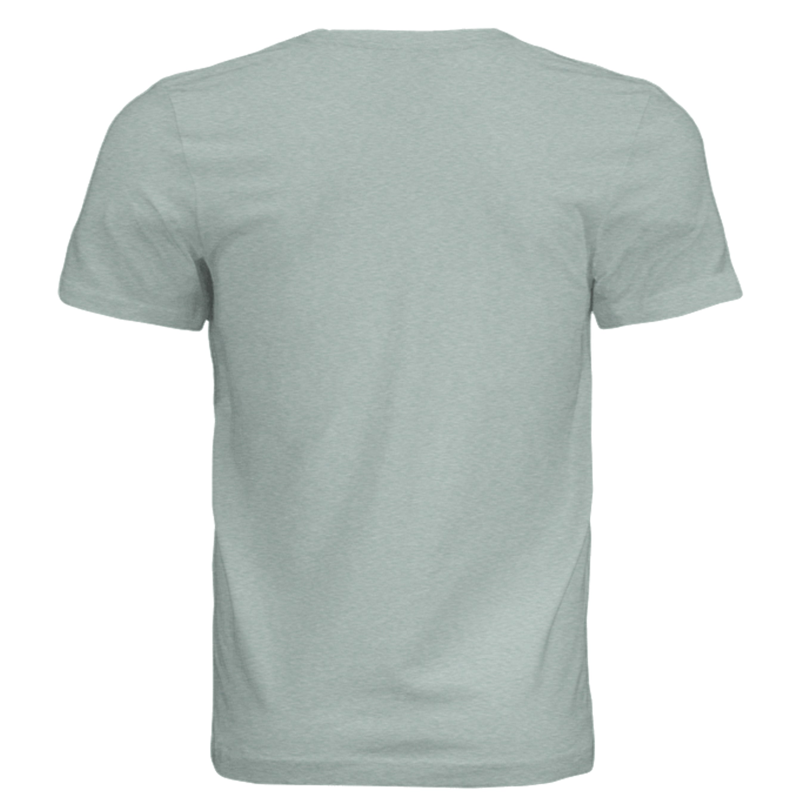 Dusty Blue Triblend - 3413C - BACK