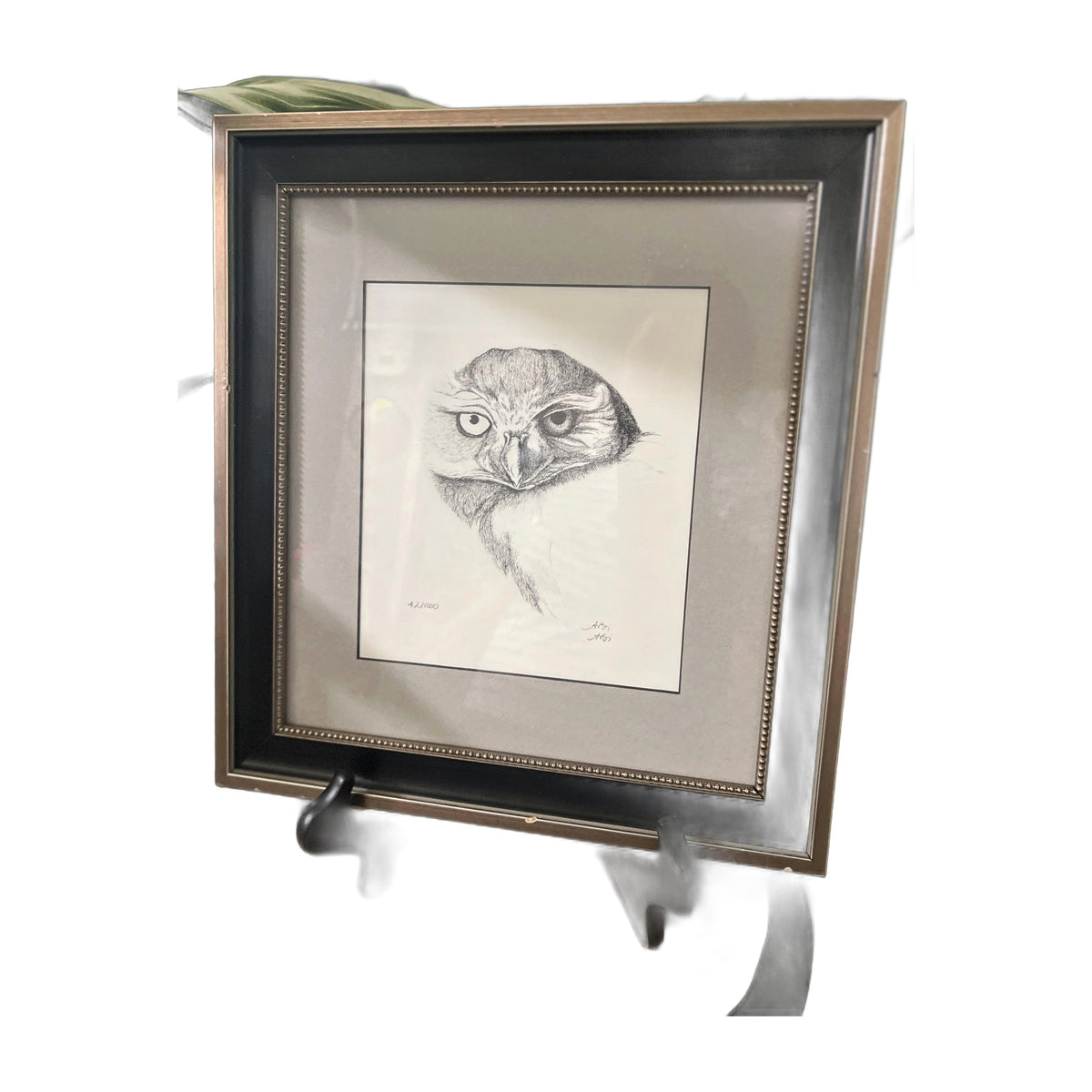 Owl Pen & Ink Art Signed by Ari Matted 12x11