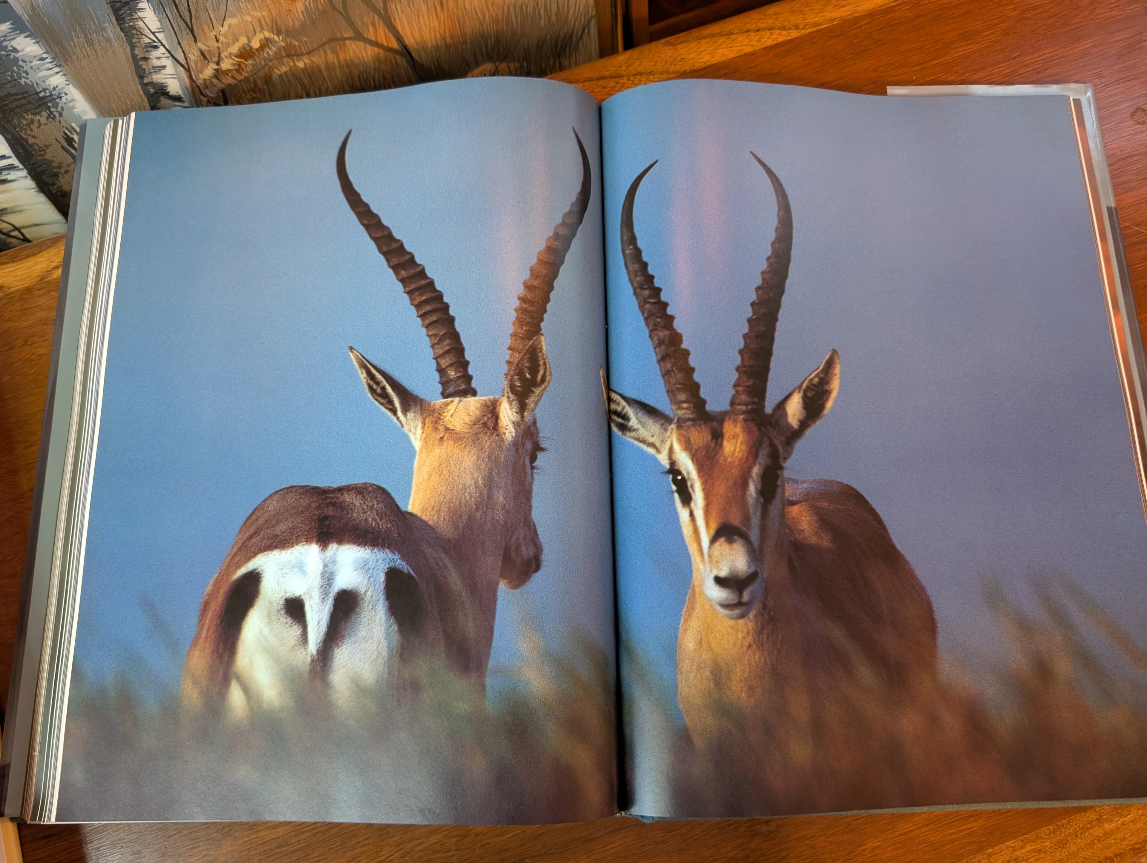 Ngorongoro by Reinhard Kunkel, First US Edition