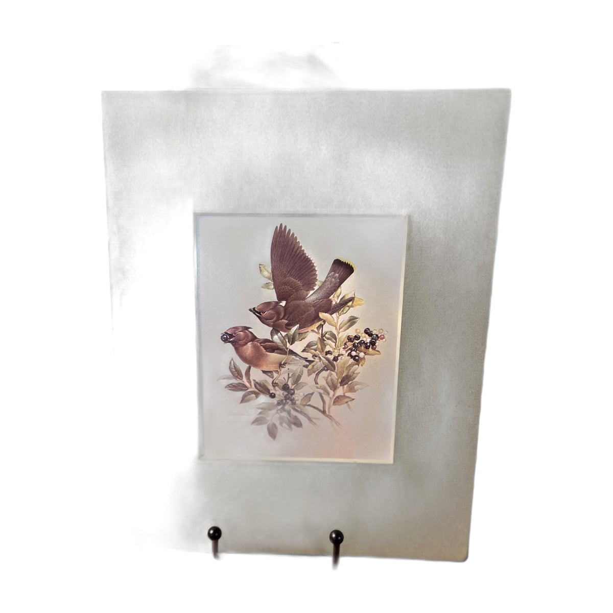 Vintage Cedar Waxwings Bird Matted Print